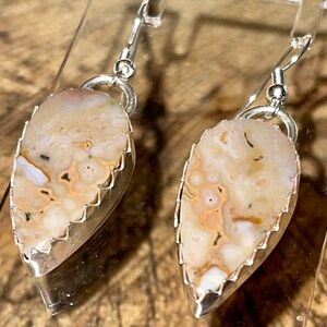 Brown Ocean Jasper Earrings 1 7/8”
